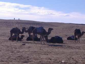 Deserto Tunisia © www.viaggisenzalimiti.it